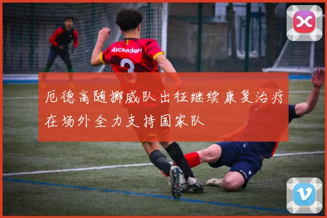 厄德高随挪威队出征继续康复治疗在场外全力支持国家队